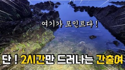 충남 안면도 낙지해루질 해삼해루질 포인트, 서해안 해루질 포인트 추천