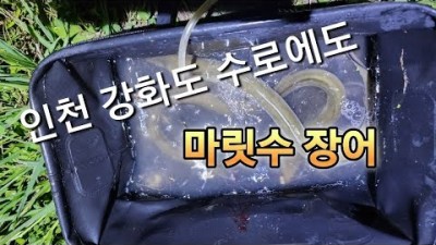 인천 강화도 수로 민물장어 낚시 포인트 가볼만한곳