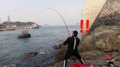 추자도 감성돔 카고 원투낚시, 감성돔, 돌가자미, 문어 낚시, 다양한 어종이 잡히는 추자도 바다낚시 포인트