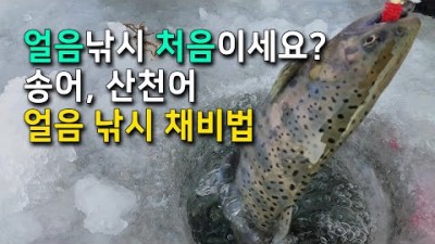 송어 산천어 얼음낚시 채비법, 얼음낚시가 처음이라도 쉽게 잡을 수 있습니다!