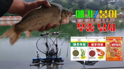 붕어/메기 우중낚시 곰표떡밥 협찬시작/원봉돌/쌍바늘채비