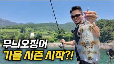 통영 샤랑도 무늬오징어 낚시 선상낚시 배낚시 출조 및 조황정보
