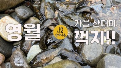 강원도 영월 고씨동굴 근처 계곡 꺽지 루어낚시