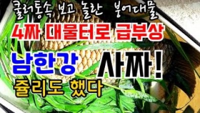 붕어낚시 4짜터로 급부상한 남한강,46대물 보고 놀란 무니 ,쥴리도 4짜