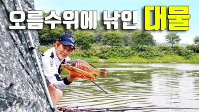 홍성 천태저수지 무료낚시터 계곡형저수지 붕어낚시 대물포인트