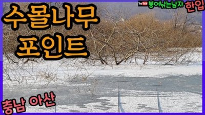 충남 아산 도고지 얼음낚시 붕어낚시 무료 노지 낚시터 도고저수지 수몰나무 붕어 포인트
