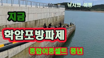 학암포방파제 감성돔, 고등어,학꽁치 원투낚시 바다낚시 포인트 추천