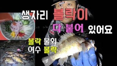 여수 돌산 볼락낚시, 도보권 볼락 루어낚시 바다낚시 포인트