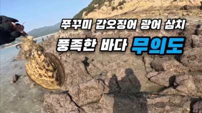 영종도 무의도 갑오징어 워킹 루어낚시 포인트 및 채비정보