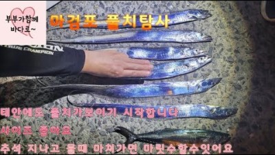 태안 마검포 풀치낚시 탐사 물때 조황 정보