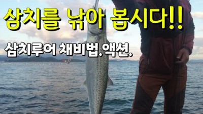 삼치 루어낚시 메탈지그 액션법 채비법