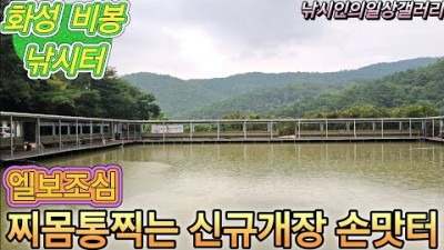 화성 비봉낚시터 편의시설 좋은  손맛터 입어료 및 조황정보