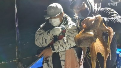 9년간 문어낚시에 미친여자와 남자의 가출!문어낚시계의 추노 군산야간문어사냥(with 비응항 에이스호)feat.목장갑 최프로