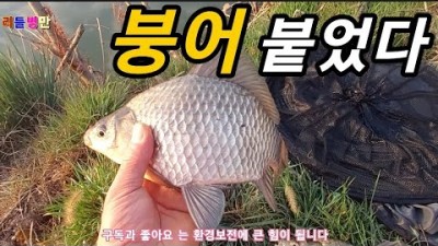 강화도 내가저수지 붕어낚시 노지 붕어낚시터 대물붕어낚시 서울근교 무료 붕어낚시 가능한 내가저수지 민물낚시 조황 및 채비정보