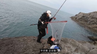 여수 금오도 감성돔낚시, 금오도 직포여밭 갯바위 감성돔낚시포인트, 감성돔낚시 조황정보