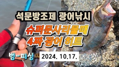 석문방조제 광어낚시 사리물때 간조 광어루어낚시 조황정보