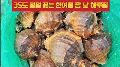 서울근교 영종도 주간 해루질 포인트 추천