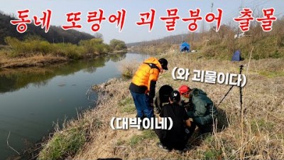 경기도 안성 수로 붕어낚시 4짜 붕어 낚시, 서울근교 안성 노지 수로 대물 붕어낚시 조황 및 채비정보