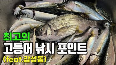 거제 가조도 계도방파제 고등어낚시 발판 좋고 안전한 방파제 바다낚시 포인틑