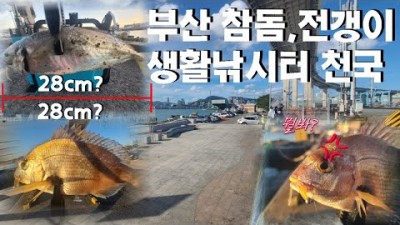 부산 생활바다낚시터 포인트 감만시민공원 참돔 아징 루어낚시 조황정보