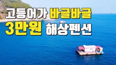 거제 장승포 좌대낚시 해상콘도 펜션, 1박 3만원 가성비 해상펜션, 고등어낚시, 장승포좌대낚시 조황 및 채비정보