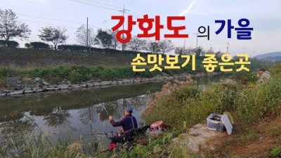 강화 장흥수로 가을 붕어낚시 포인트 및 조황정보