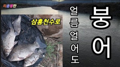 붕어낚시 저수온기 붕어 볼수있는 강화도 삼흥천수로
