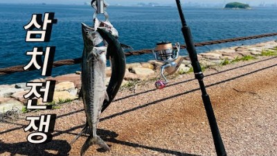 시화방조제 삼치낚시 수도권 바다낚시 삼치 루어낚시 가볼만한곳