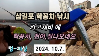 삼길포항 학꽁치 전어 카고채비 낚시 조황 정보