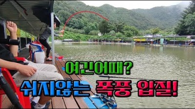 많은 장맛비에 예민해진 붕어입질! 가격도 저렴한 이 낚시터! 손맛좋은 폭풍 입질까지! 붕어낚시/메향낚시터/우중낚시/원봉돌쌍바늘/붕어채비/원봉돌외바늘