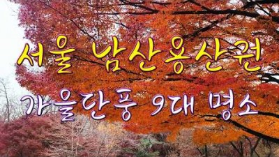 서울 남산 용산 가을단풍 명소, 남산야외식물원, 남산골한옥마을, 이태원로 단풍길, 청파로 단풍길, 서울 단풍 트래킹 가볼만한곳