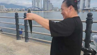 속초 청호동 신항만 방파제 고등어낚시 조황정보