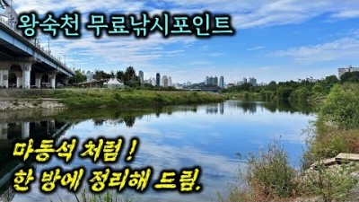 경기도 남양주 왕숙천 가을 붕어낚시 무료낚시포인트