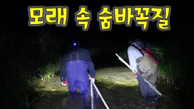 계곡,하천,강 3일간 야간 족대질!!! 모래가 있다면 이 물고기도 있다 !! 모래밭 그냥 지나치지 마세요 ~ !