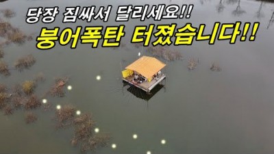 충남 예당지 새물좌대낚시터 수상좌대 붕어낚시, 예당저수지 붕어낚시 쉼없는 올라오는 대물 붕어낚시 조황정보