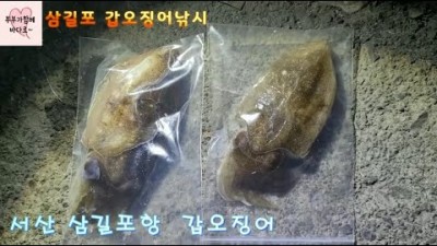 당진 삼길포항 갑오징어낚시, 발판 편한 루어낚시 포인트