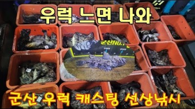 군산 우럭 선상낚시 엄청난 조과를 보이는 군산 우럭 배낚시 조황 및 채비정보