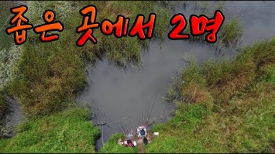 원주 문막 수로 붕어낚시 부들밭 다대편성! 오예!! [원주 수로낚시 부들포인트] -예능 주의하세요!