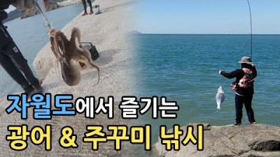인천 자월도 광어 쭈꾸미 루어낚시 채비 및 조황정보