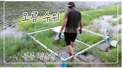 공주 정안천 붕어낚시 오름수위 붕어낚시포인트 출조