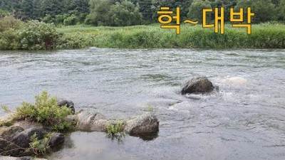 매년 "장어"가 잡힌다는 곳에 통발을 설치 했더니~~~