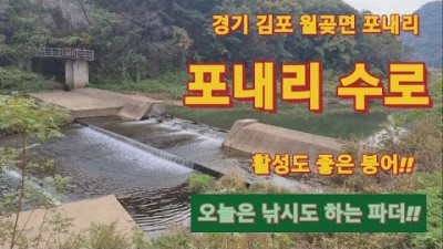 김포 월곶 포내리수로 붕어낚시 노지 무료낚시터