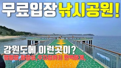 강원도 고성 반암항 복합낚시공원 캠핑장 캠낚 발판 편한 고성 거진항 바다낚시공원