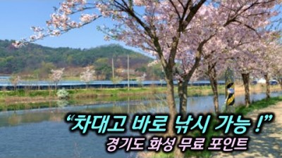 차대고 바로 낚시, 경기도 화성권 무료 낚시포인트를 소개합니다. 민물낚시/붕어낚시/화성낚시포인트