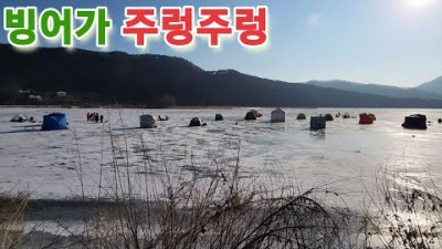 춘천 빙어낚시 성지 지촌리 겨울 최고의 낚시 빙어 얼음낚시 포인트 추천