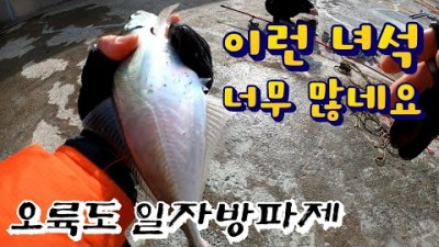부산 오륙도 일자방파제 카고낚시 채비정보 조황정보