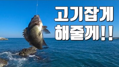 포항 호미곶 대보항 갯바위 전갱이, 볼락, 감성돔 찌낚시 조황 정보