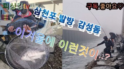 삼천포 내항 발전소방파제 감성돔낚시 겨울철 조황