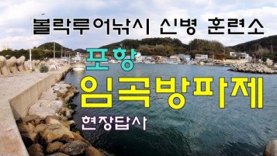 경북 포항 임곡방파제 볼락낚시 학꽁치낚시 겨울 바다낚시 조황정보