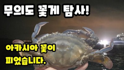 서울근교 영종도 무의도 꽃게 해루질, 수도권 해루질 포인트 정보